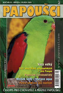 Papoušci číslo 2 2009