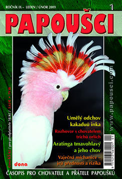 Papoušci číslo 1 2009